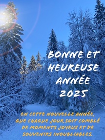 Vœux 2025 Vœux 2025